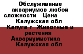 Обслуживание аквариумов любой сложности › Цена ­ 1 600 - Калужская обл., Калуга г. Животные и растения » Аквариумистика   . Калужская обл.
